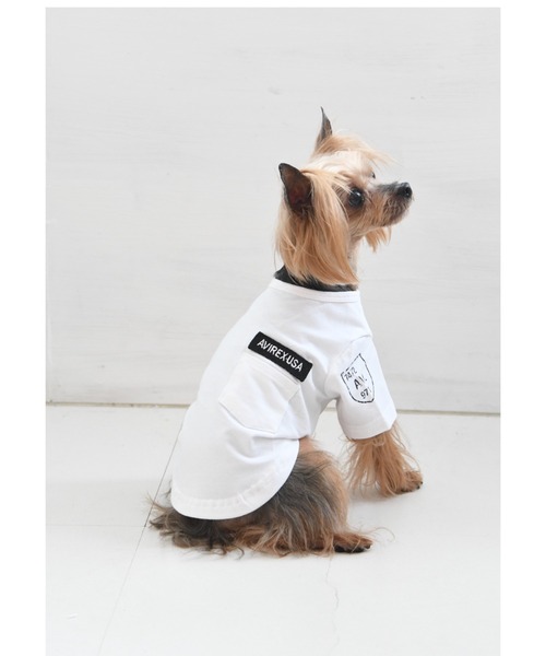AVIREX（アヴィレックス） 犬 服 AVIREX/アヴィレックス/ファティーグT