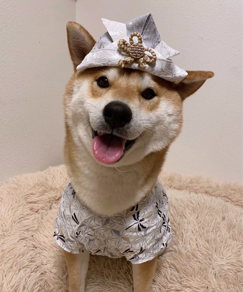 ONEKOSAMA OINUSAMA（おねこさま・おいぬさま） 犬 服 ペット用