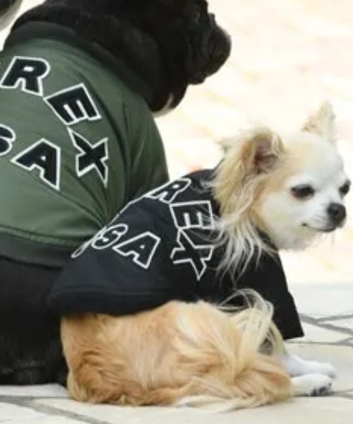 AVIREX（アヴィレックス） 犬 服 AVIREX/アヴィレックス/MA−1 ロゴ