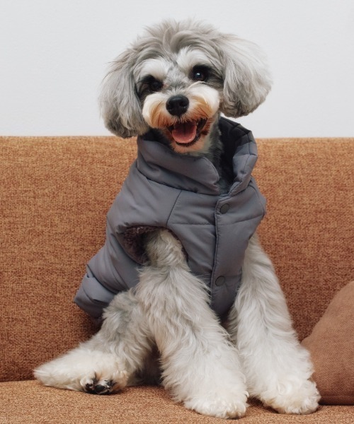 gelato pique（ジェラートピケ） 犬 服 「CAT＆DOG」XL・XXLサイズ中綿