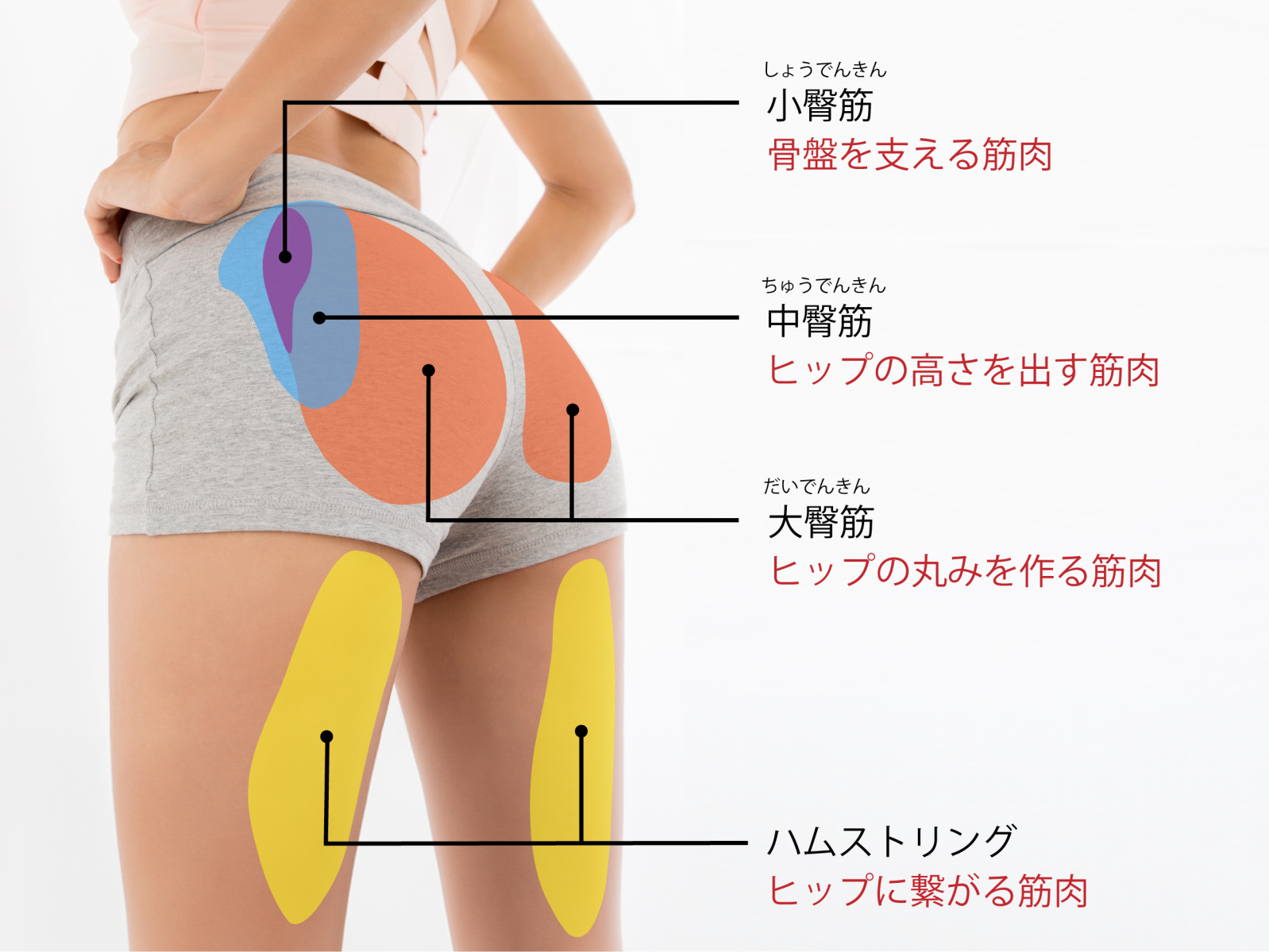 エムフィールドチェア 【最新美尻イスで気軽にフェムケア】 電磁パルス
