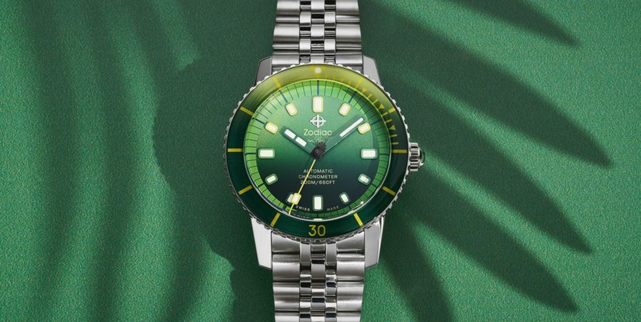 キューバ産 ゾウムシ 9mm キューバ産 ゾウムシ 9mm