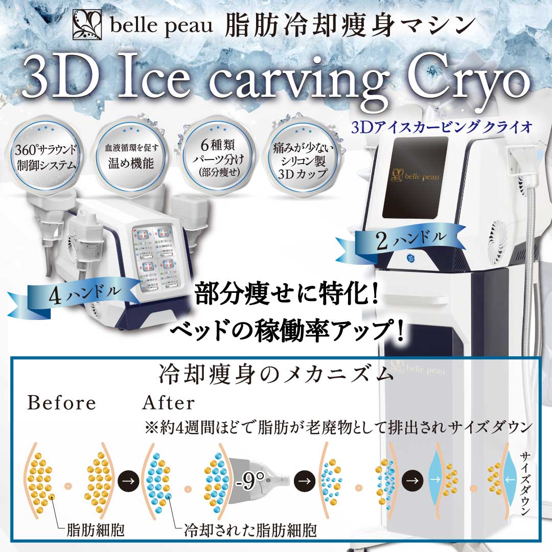3D Ice carving Cryo | 株式会社 ZEAL[ジール]