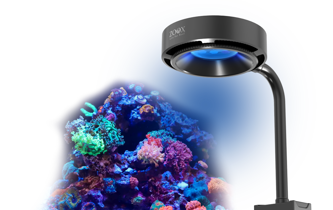 Optimus Reef Nano 2 ZOOX. リーフナノ2 【公式通販】