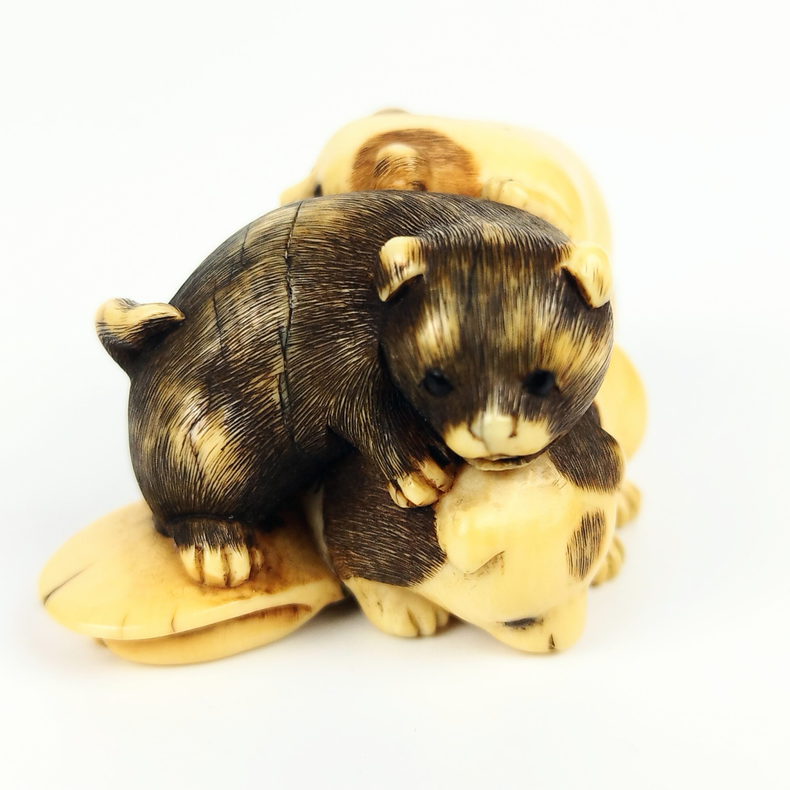 牙彫り根付 犬 – 古美術西川