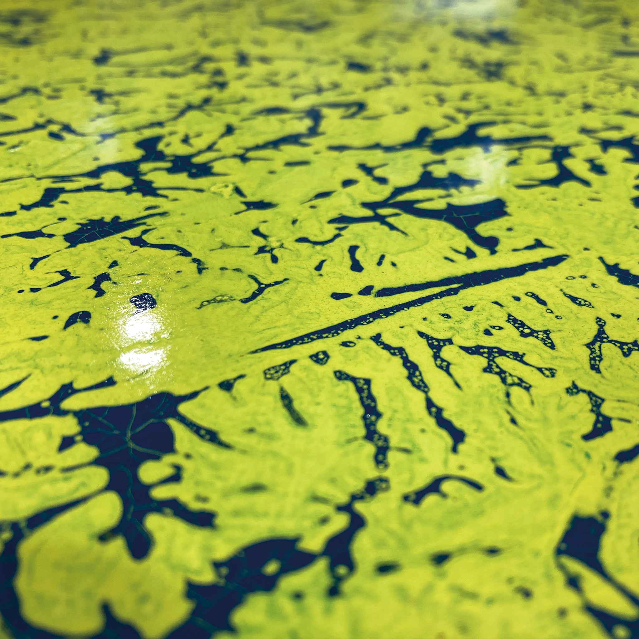 油絵 専用 にぎやかなテーブル 油絵 専用 にぎやかなテーブル 油絵