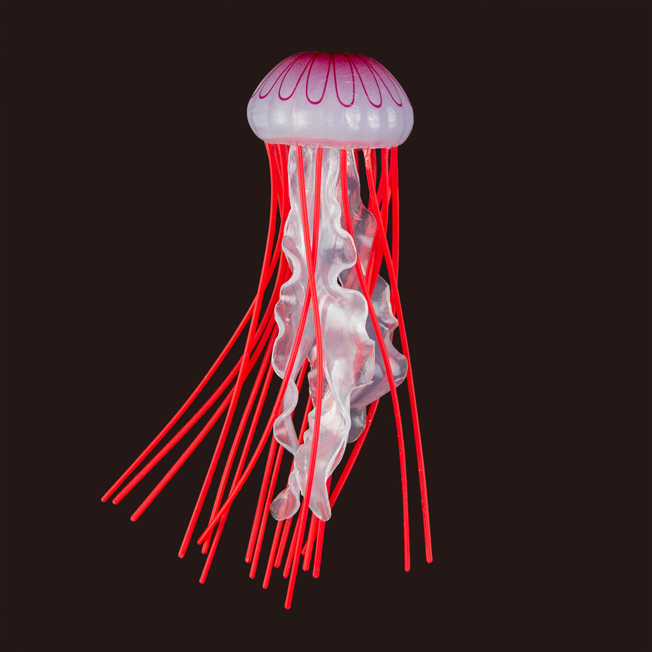 立体海月図鑑 – 株式会社ザ・アクセス-TheACCESS-