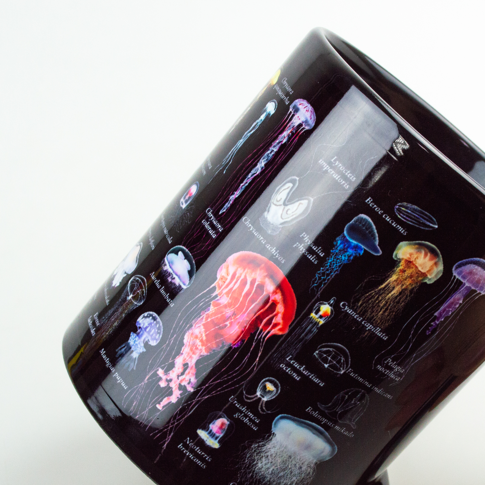 大全マグカップ：海月大全 – 株式会社ザ・アクセス-TheACCESS-