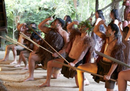 H.I.S.】マオリ文化体験～ハカ鑑賞～ミタイ・マオリビレッジロトルア