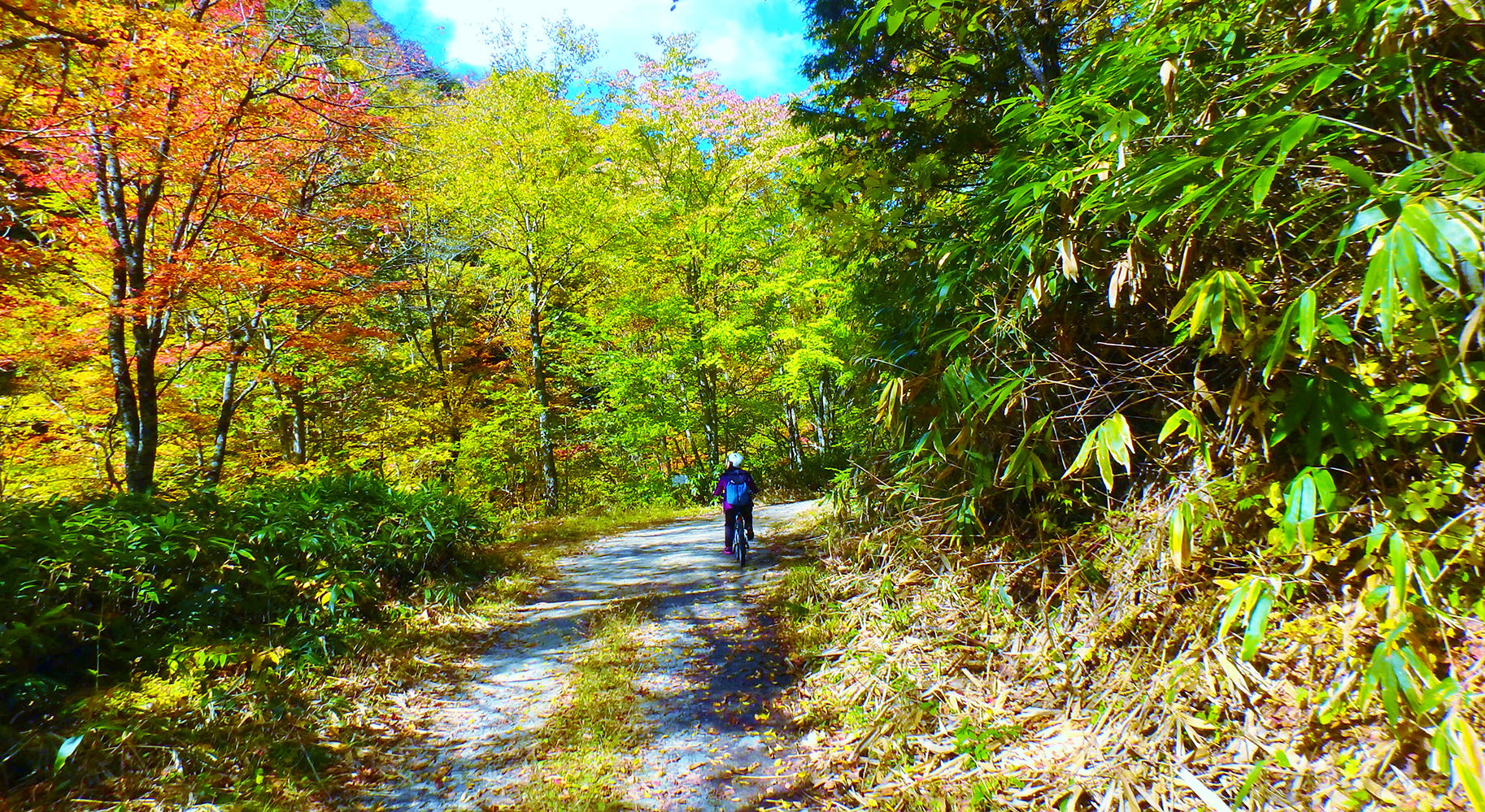 駒ヶ岳と天竜川 駒ヶ岳と天竜川 7月27日に今年初の九頭竜川へ。 前