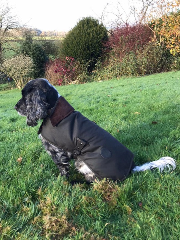 犬服・アクセサリー barbour wax dogs coat Barbour Wax Dog Coat