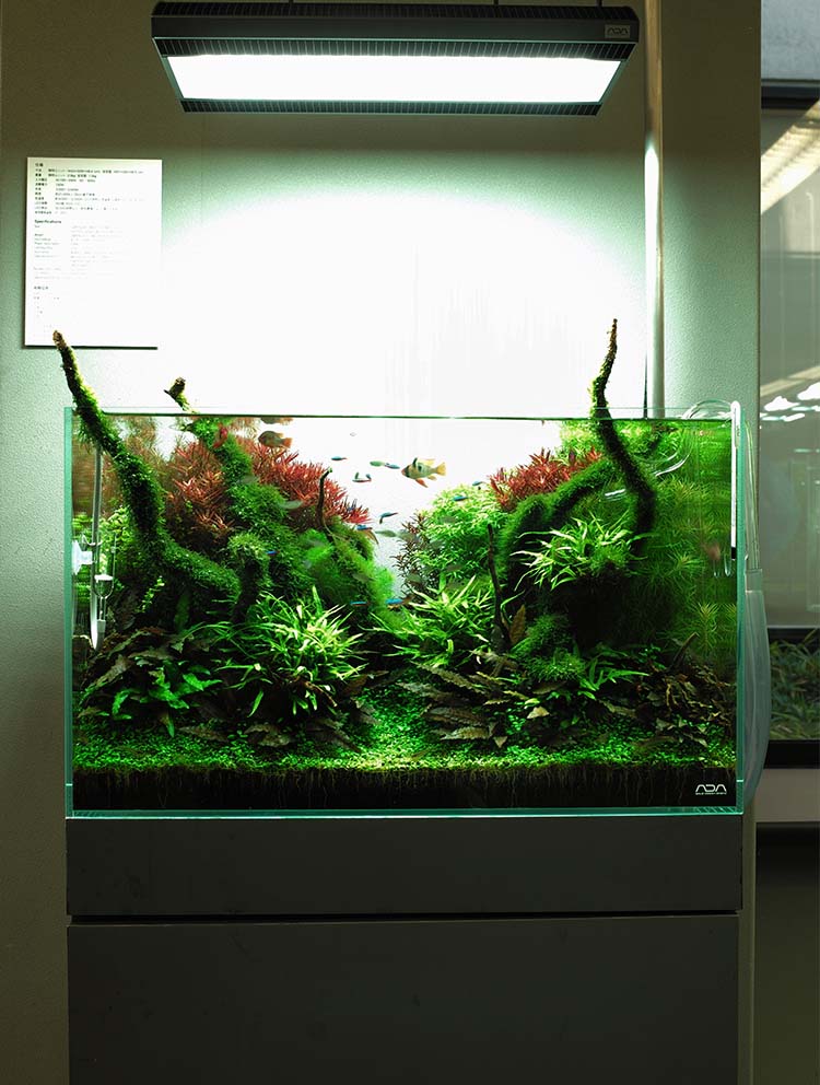 ADA ソーラーⅠ☆アクアデザイン アマノ☆メタルハライドランプ☆水草