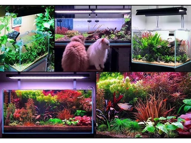 WEEK AQUA P600pro 90w アクアリウムRGB+UV WEEK AQUA P600pro 90w