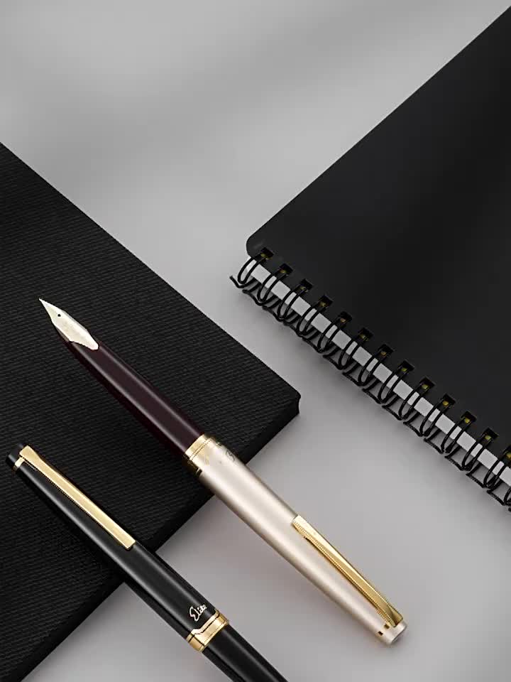 新日本パイロット万年筆 14K ゴールドチップ 95s エリート 95 周年記念