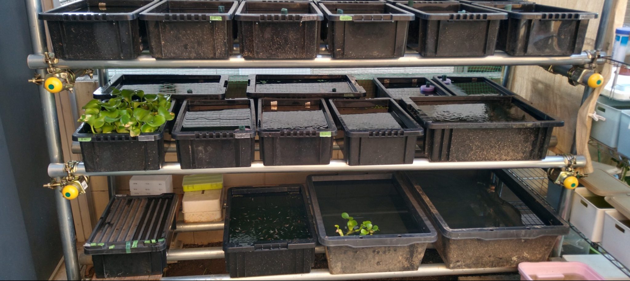 メダカ ラック NV BOX 13 イレクター 高強度金属製ジョイント 単管