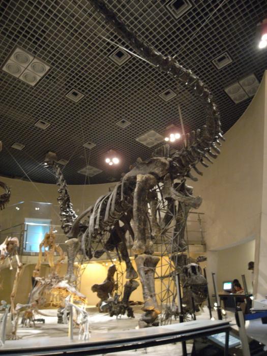 ブロントサウルス復活？ | ふらぎ雑記帳