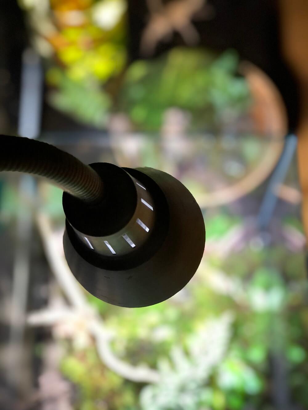 IKEA植物育成ライトVAXER | あかだまちゃんネル