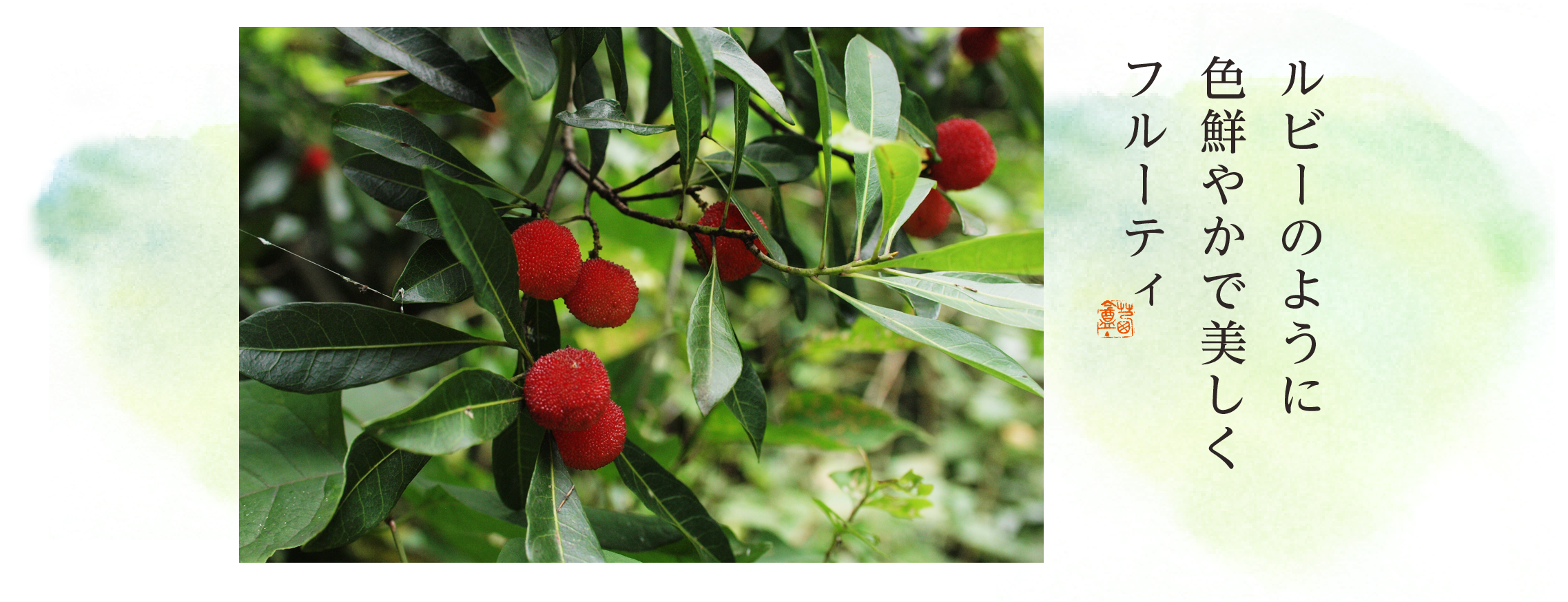 山桃 | 素材へのこだわり | 菓游 茜庵