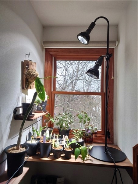 BARREL フレキシブルアームライトスタンド 2つセット バレル