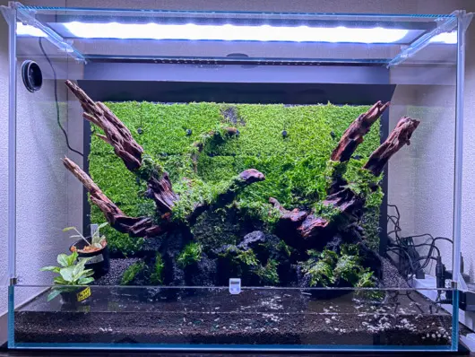 パルダリウム・テラリウム水槽W600×D300×H450