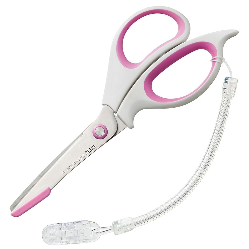 デ・ジ・キャラット 直筆サイン入り額付きジークレー『D.U.P.』限定