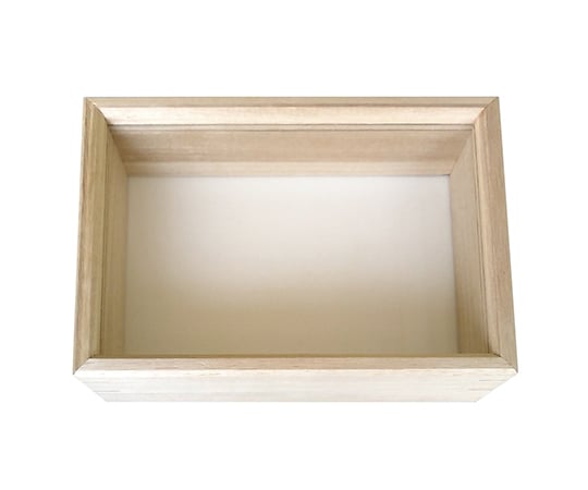 志賀ボール紙製硝子蓋標本箱【大型】Ver.2024 志賀ボール紙製硝子蓋