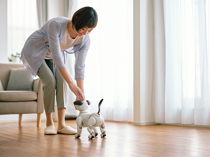 購入 (ストア) | aibo