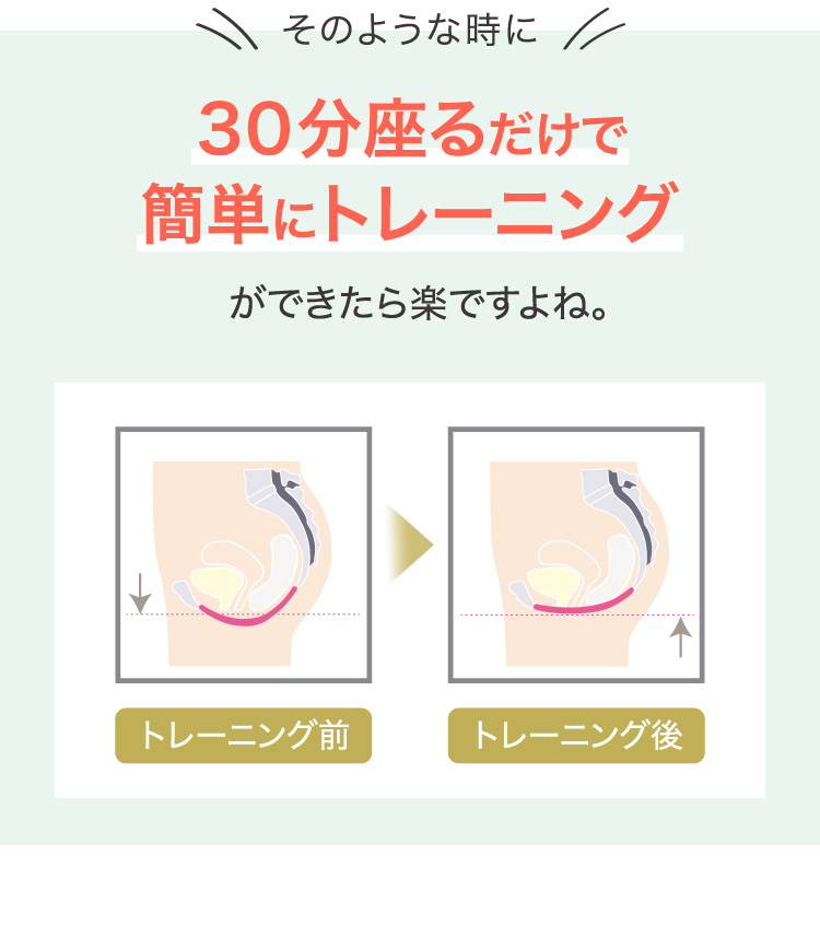 電磁パルス骨盤シートのみ 電磁パルス骨盤シートのみ 電磁パルス骨盤