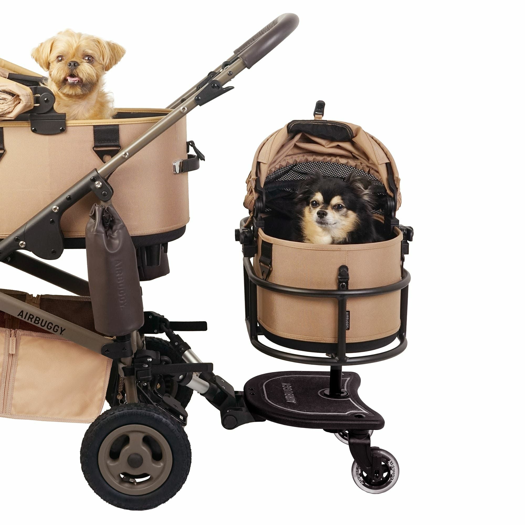 DOME2 SMサイズ | エアバギー公式オンラインストア[AIRBUGGY Official