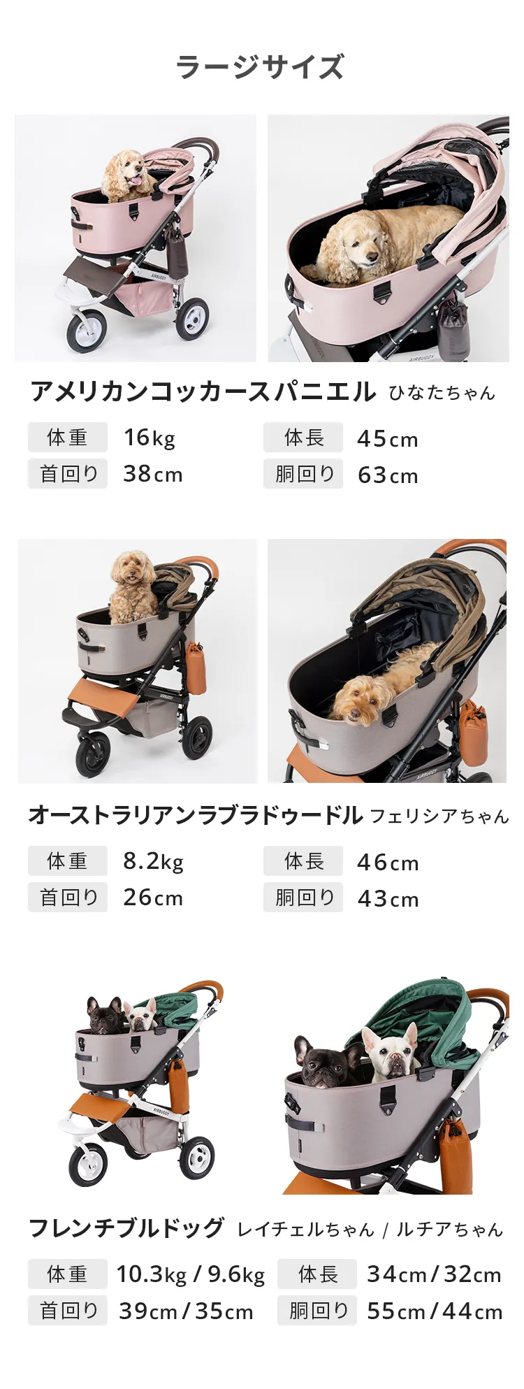 95,150円のお品 DOME3 LARGE エアバギー プレミアムエディション