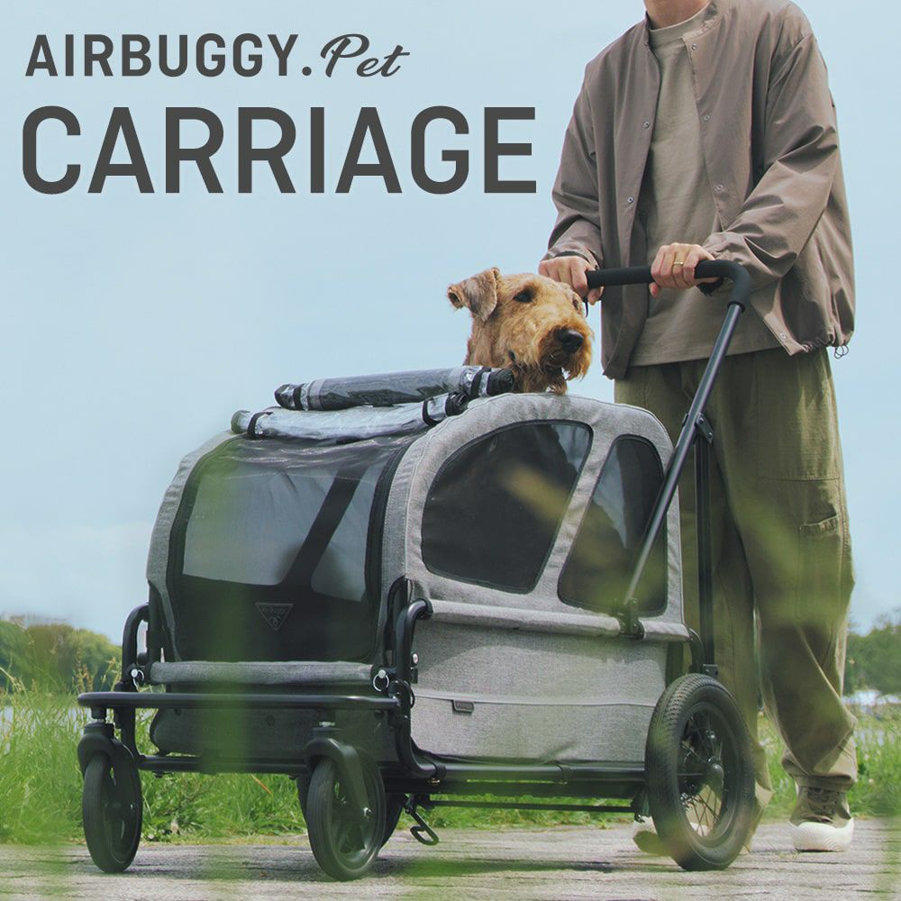 AIRBUGGY CARRIAG エアバギーキャリッジ