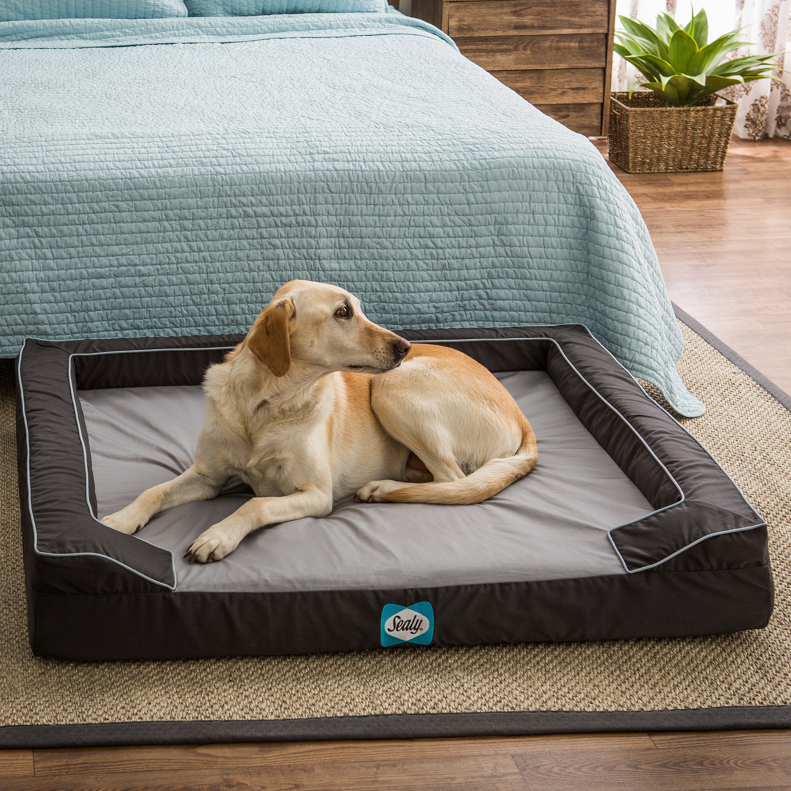 Sealy Lux Extra Large Memory Foam Pet Bed - Bed Bath & Beyond