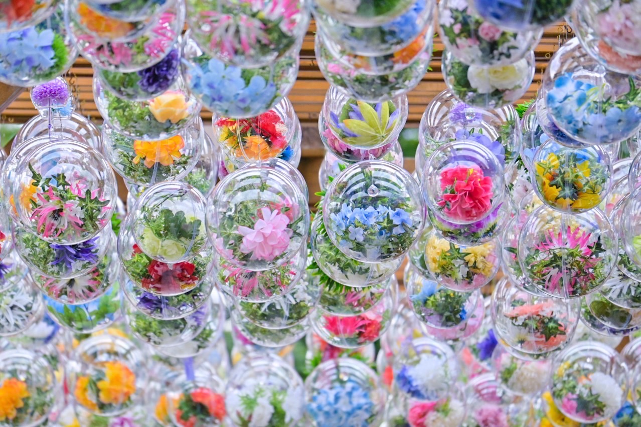 夏の新たな風物詩！？【木枠回廊の『クリアボール』】清涼感を感じ