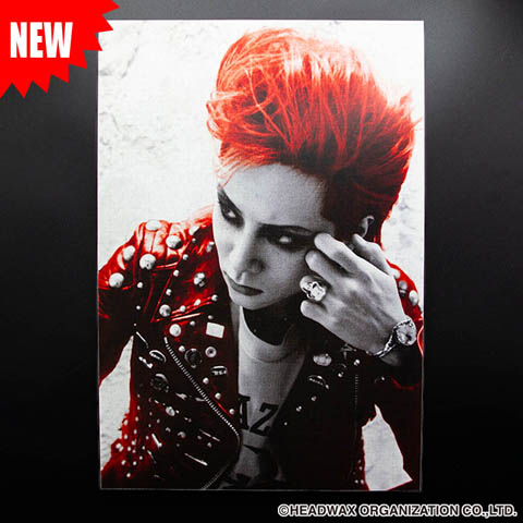 NEW! hide OFFICIAL GOODS】hide ジグソーパズル 9/12(金）より発売