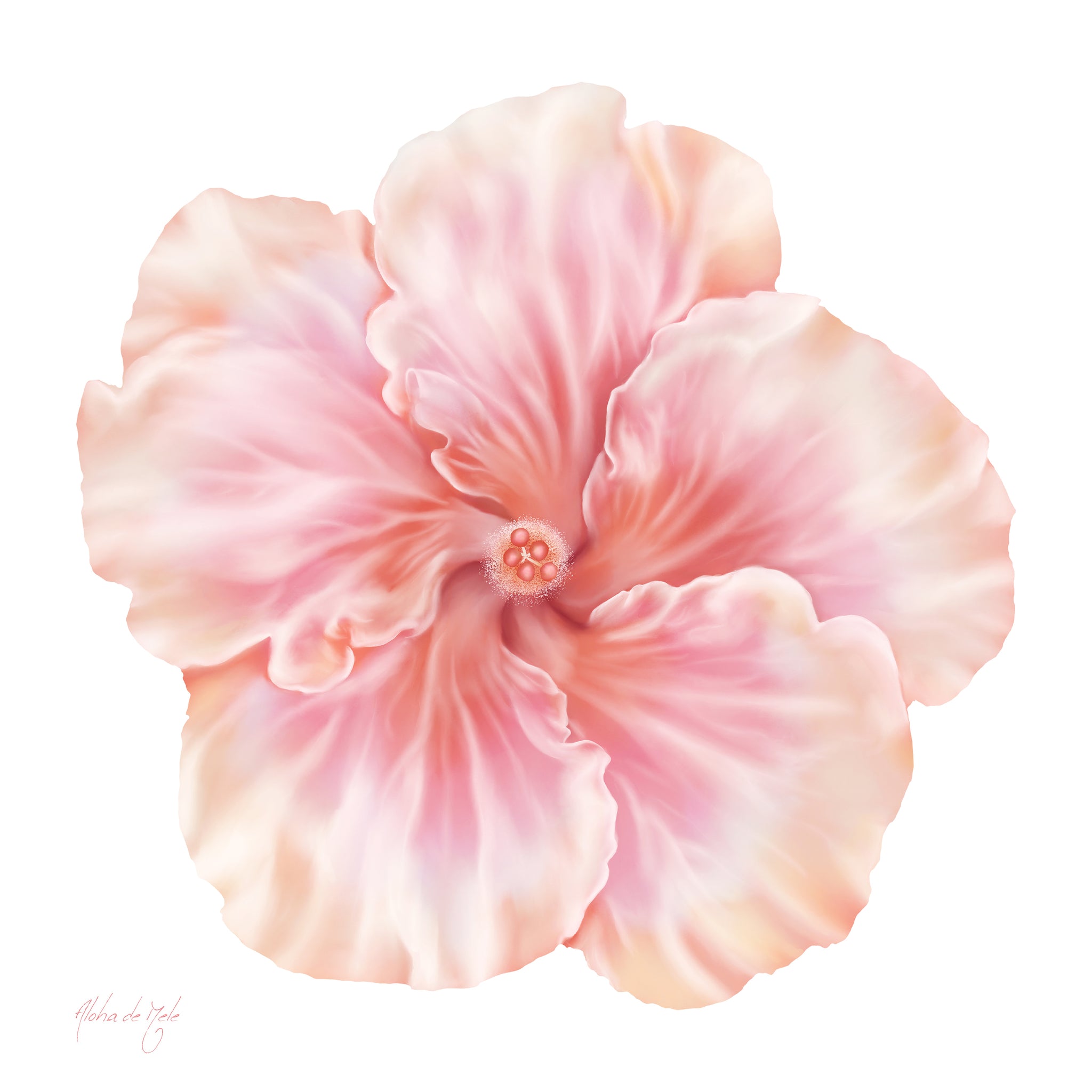 mam❤︎selectアロハデメレ4点 AlohadeMele-