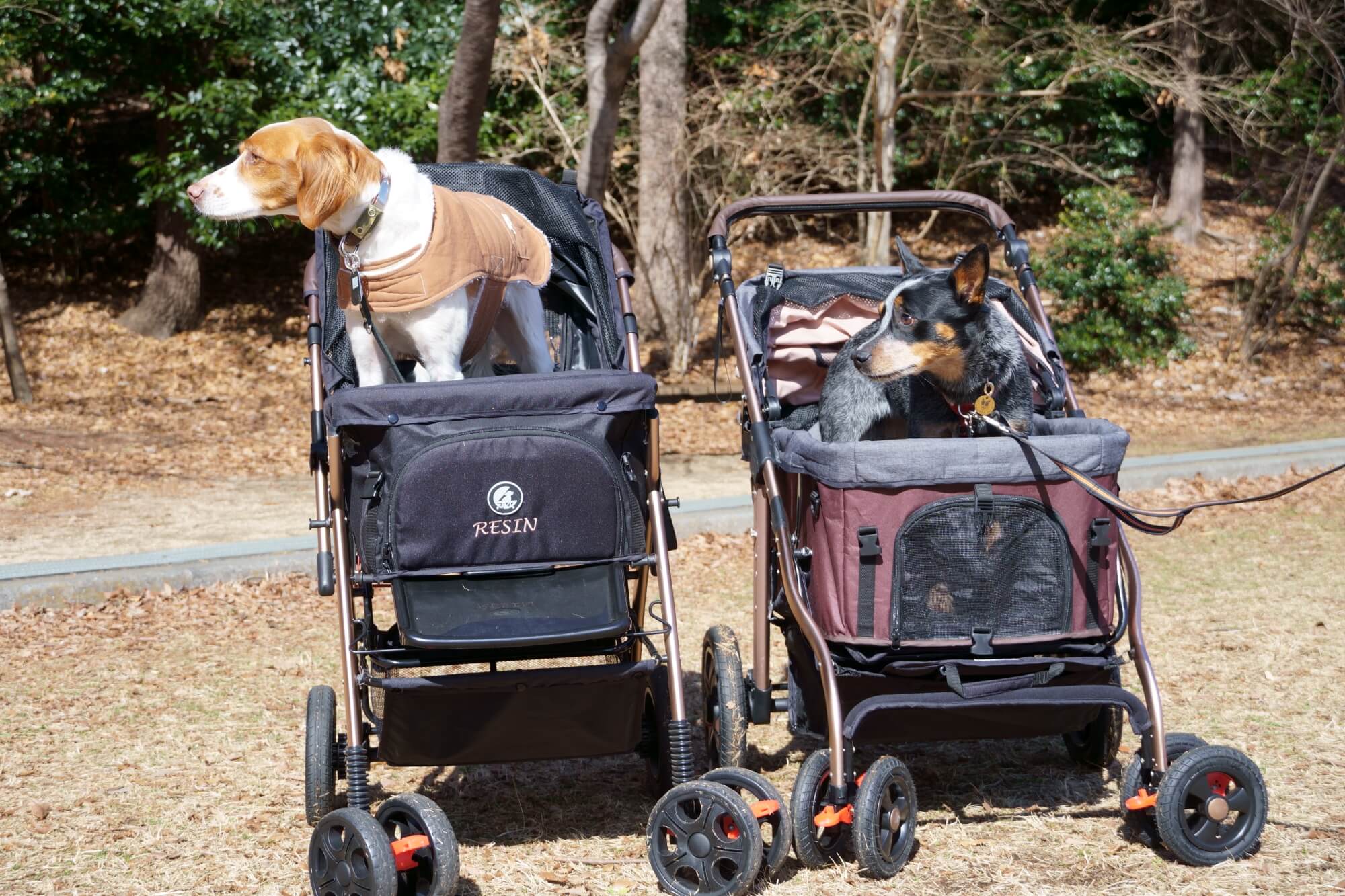 オールワンプレミアム