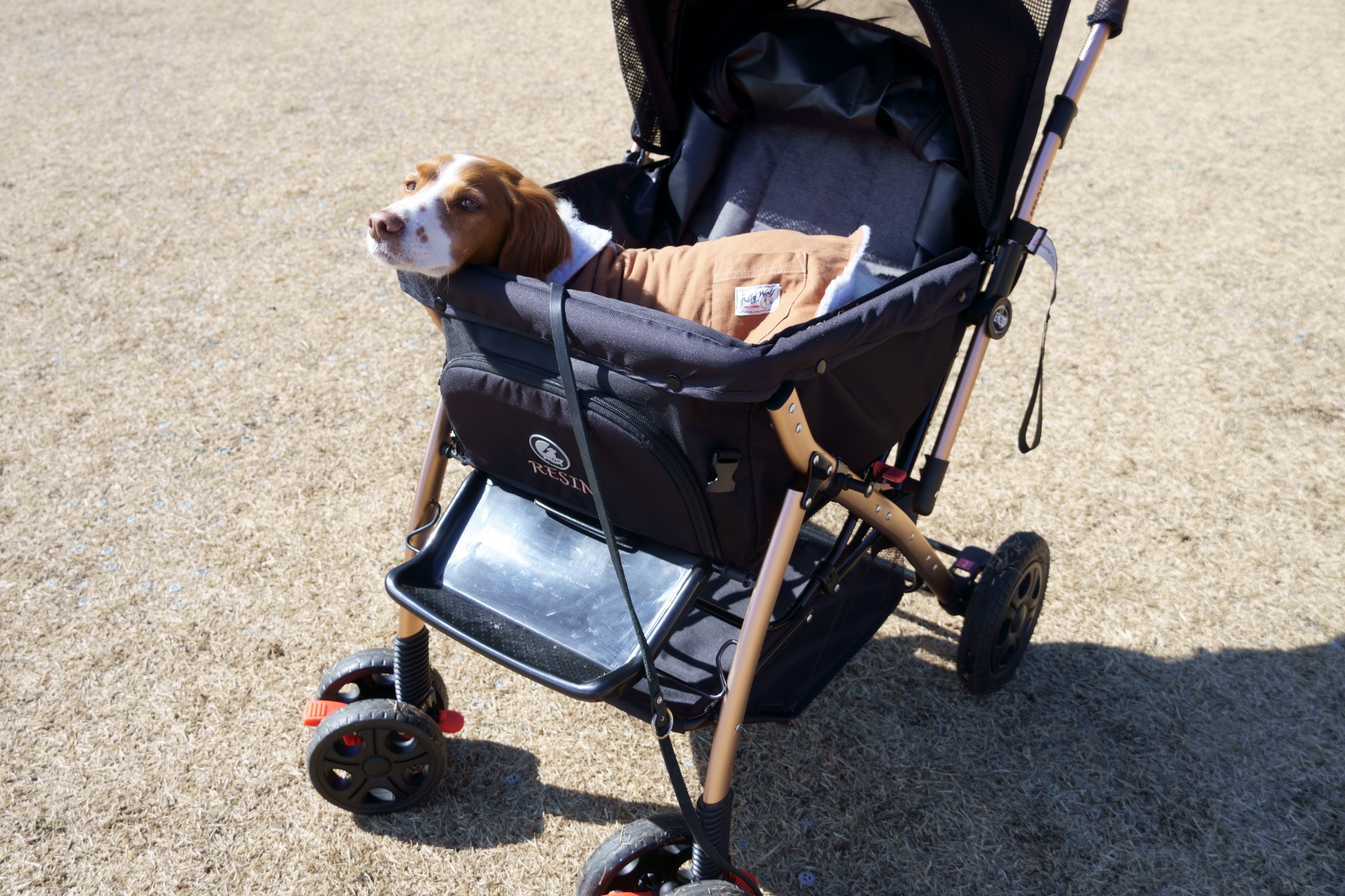 ENZO ペットカートペットストローラー犬用カート大型犬中型犬多頭