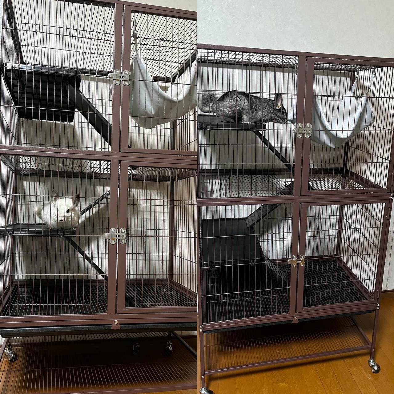 小動物用 ケージ プレビューペット PrevuePet ディライトフェレット