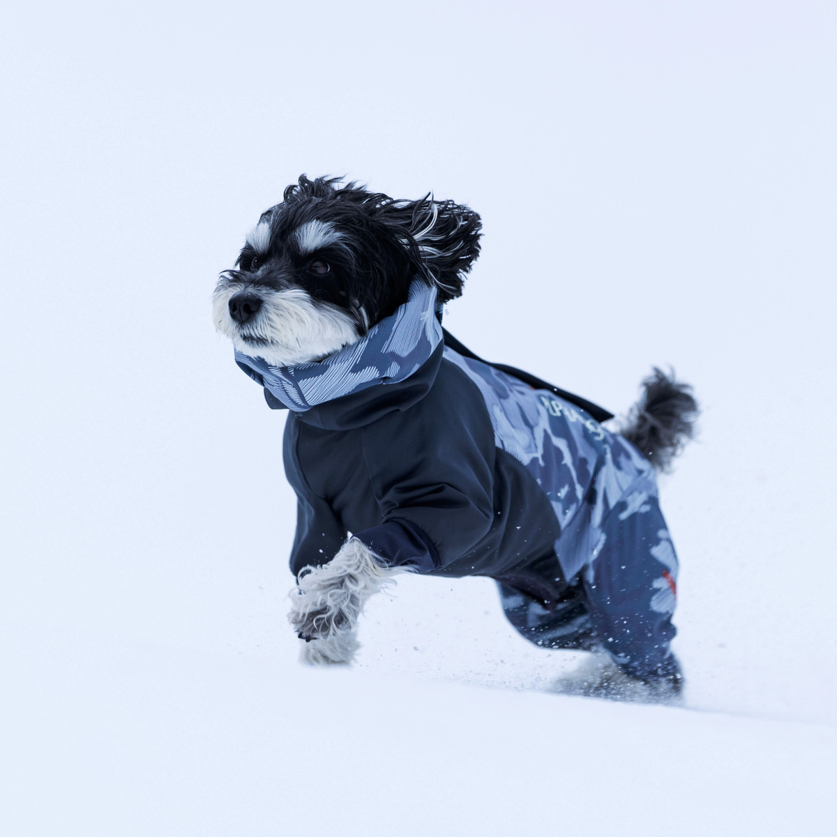 新商品情報】DOG GUARD AIR 11/7発売