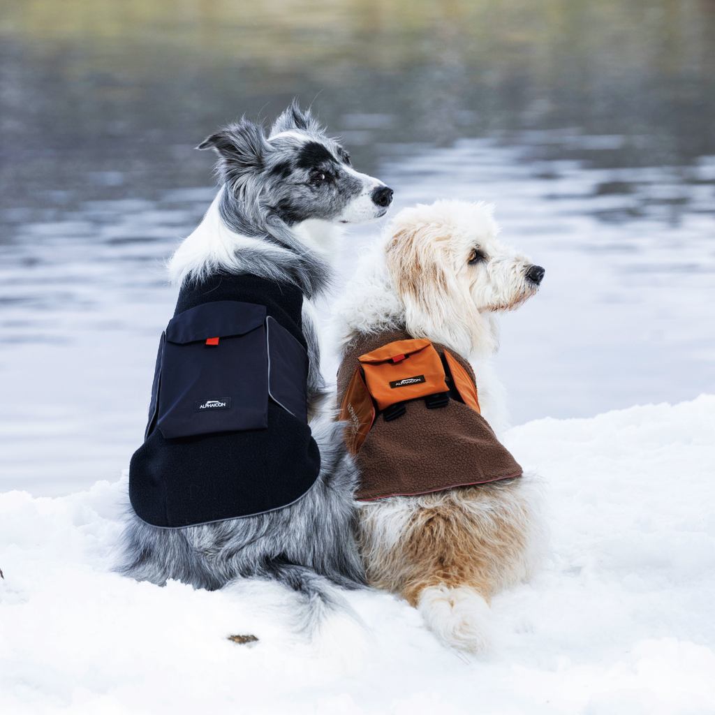 新商品情報】AIR LINER / AIR LINER POCKET 10/10発売