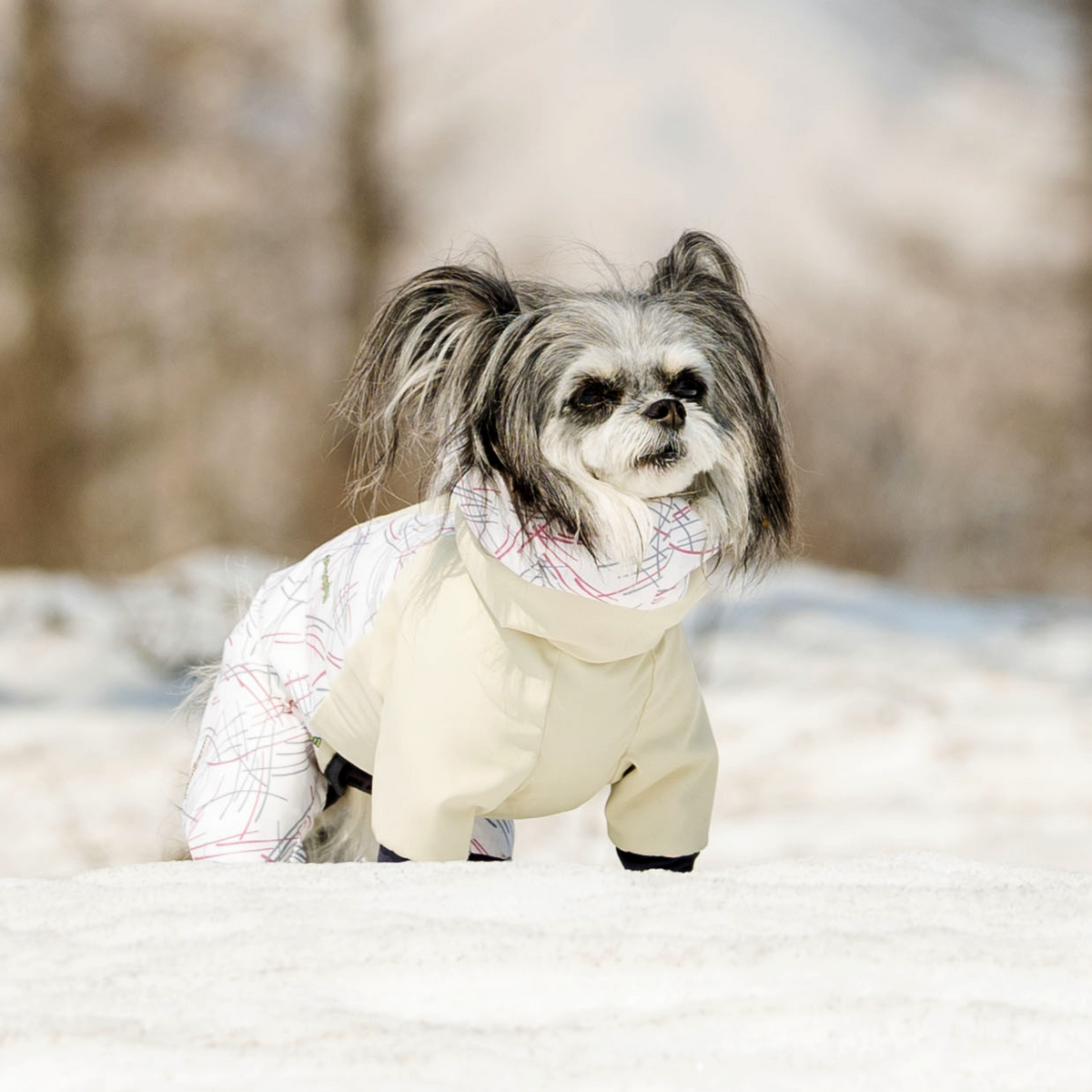 ALPHAICON AUTUMN WINTER 2025 COLLECTION