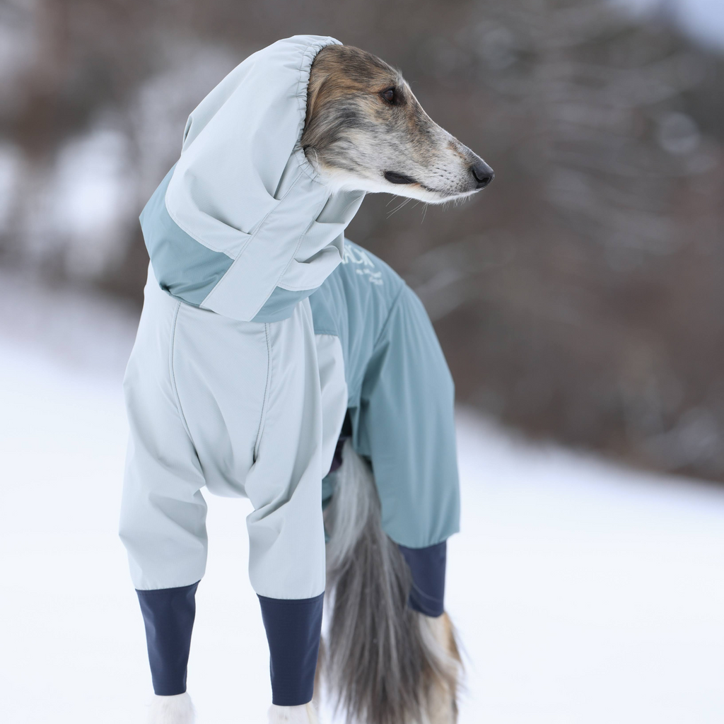 5_5c5dbd39-a745-4e38-81e6-