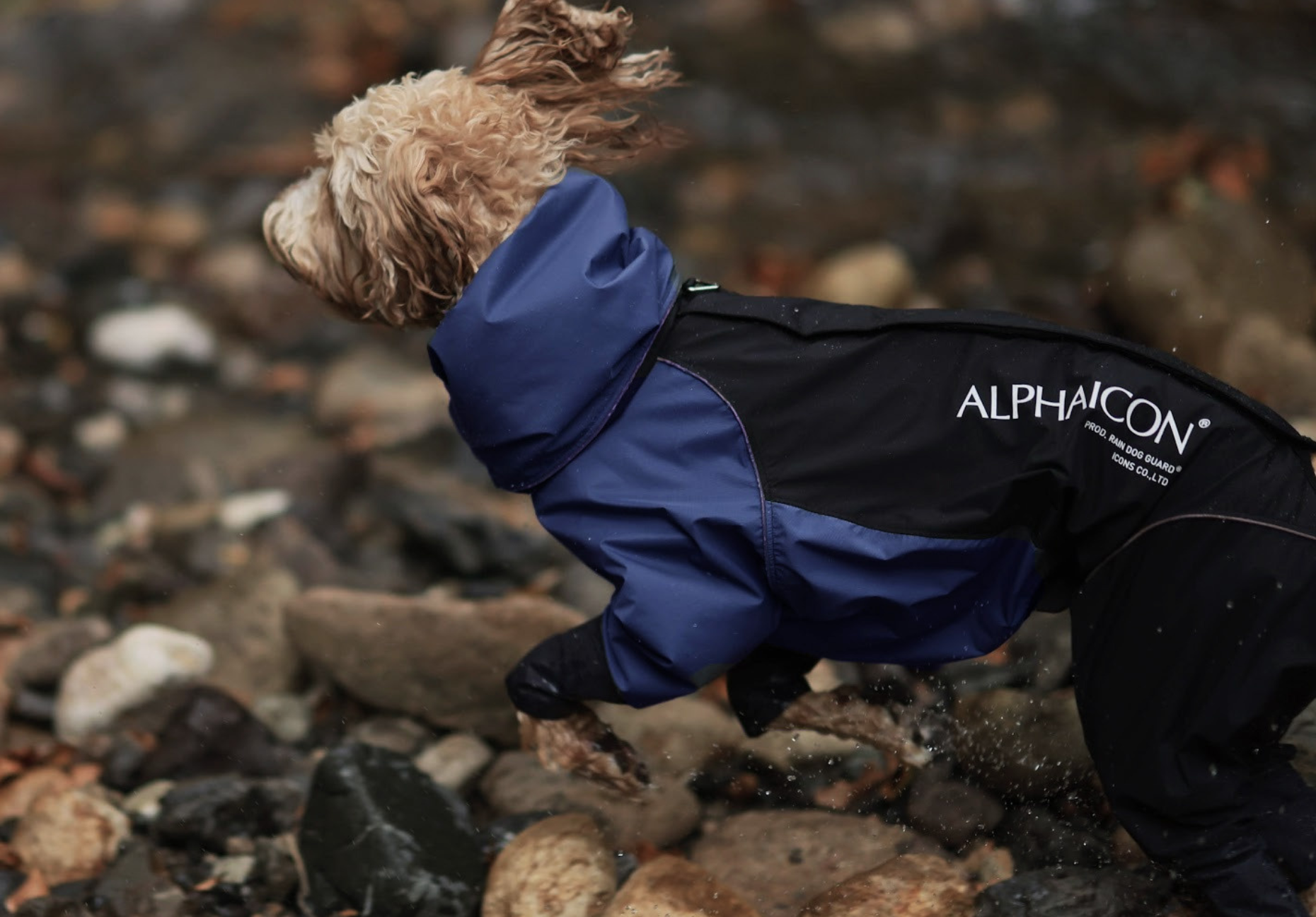 アルファアイコン ALPHAICON レインドッグガード ML