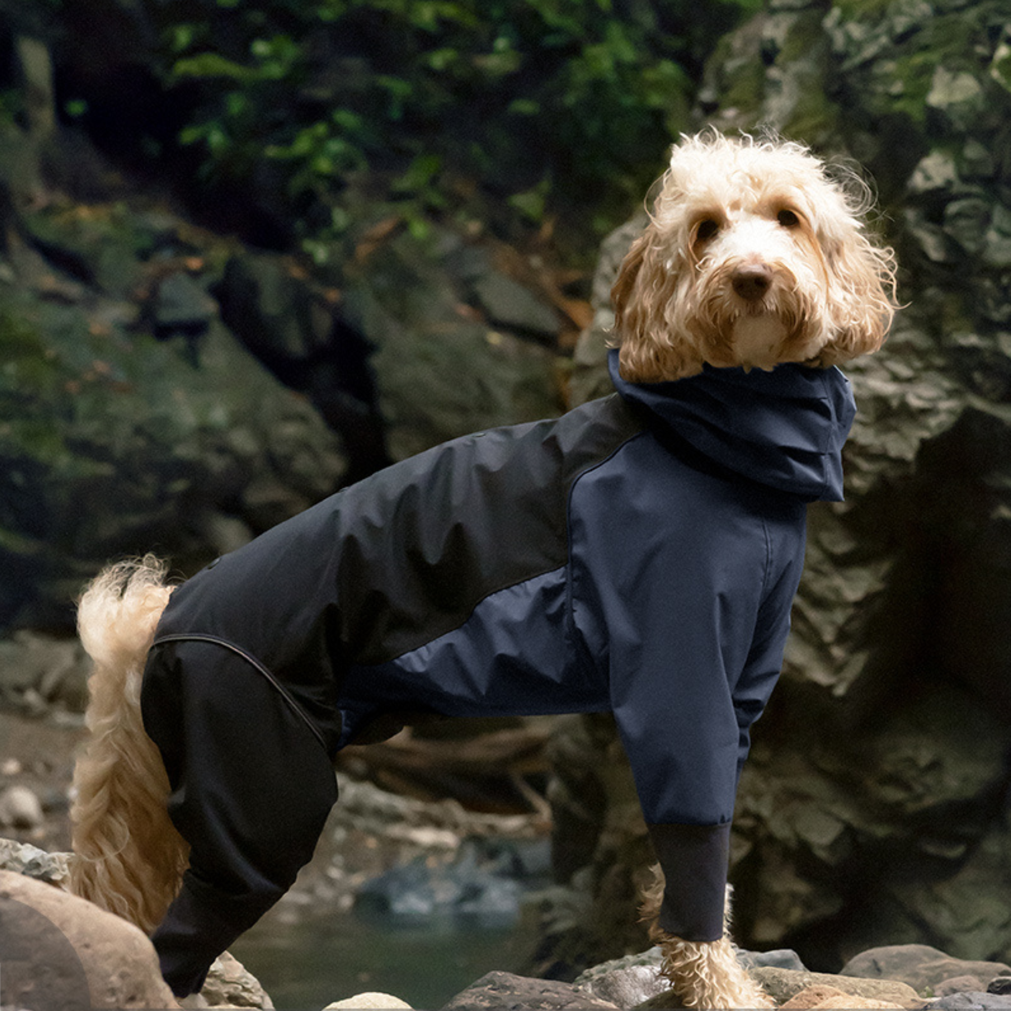 ALPHAICON レインドッグガード 2XL