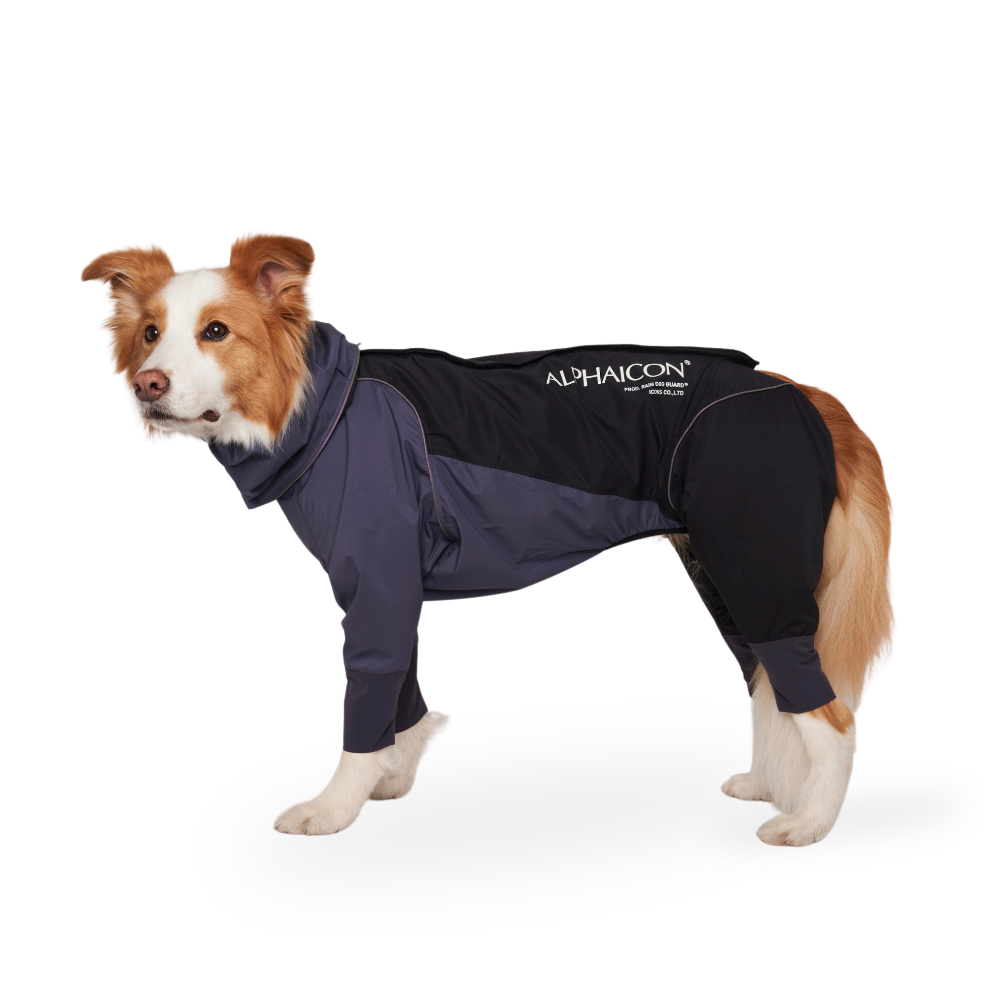 ALPHACON ICONS スノードッグガード バイカラー ピンク SM alphaicon