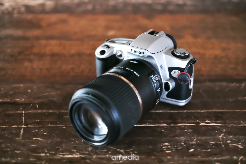 作例とレビュー】フィルムのNewEOSkissは「使いやすい・安い・軽い」で