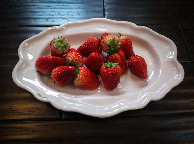 18世紀フランス陶器にハマり中『ムスティエ』編 by 小林 学 | STORY