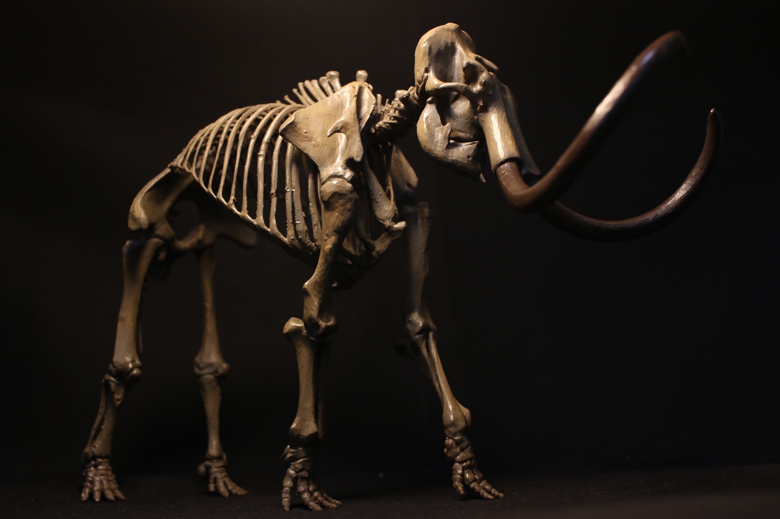 本物！マンモスの肉片 ミイラ 化石 組織 本物！マンモスの肉片 ミイラ