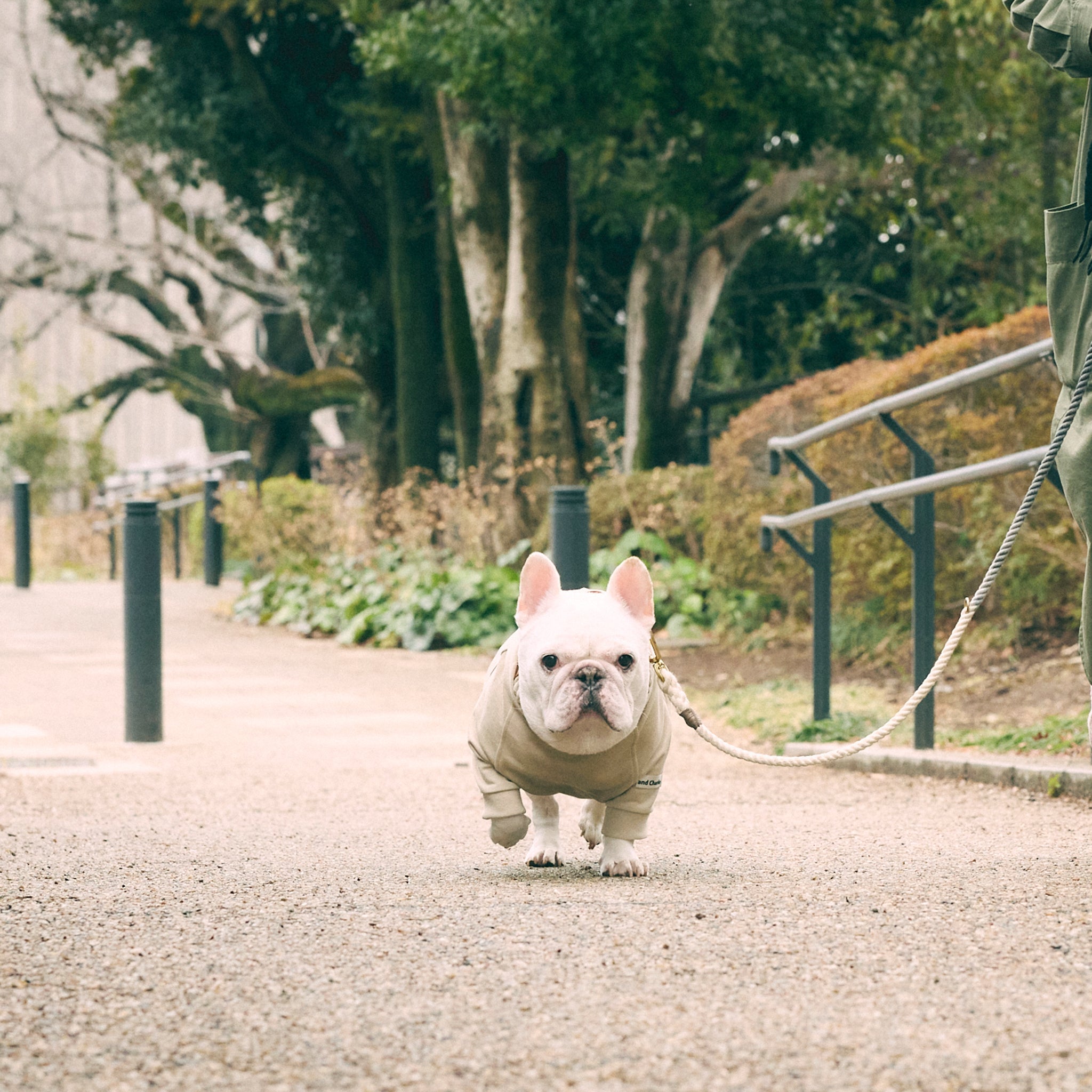 フレンチブルドッグ・ブルドッグの洋服通販の専門店 | andCharlie