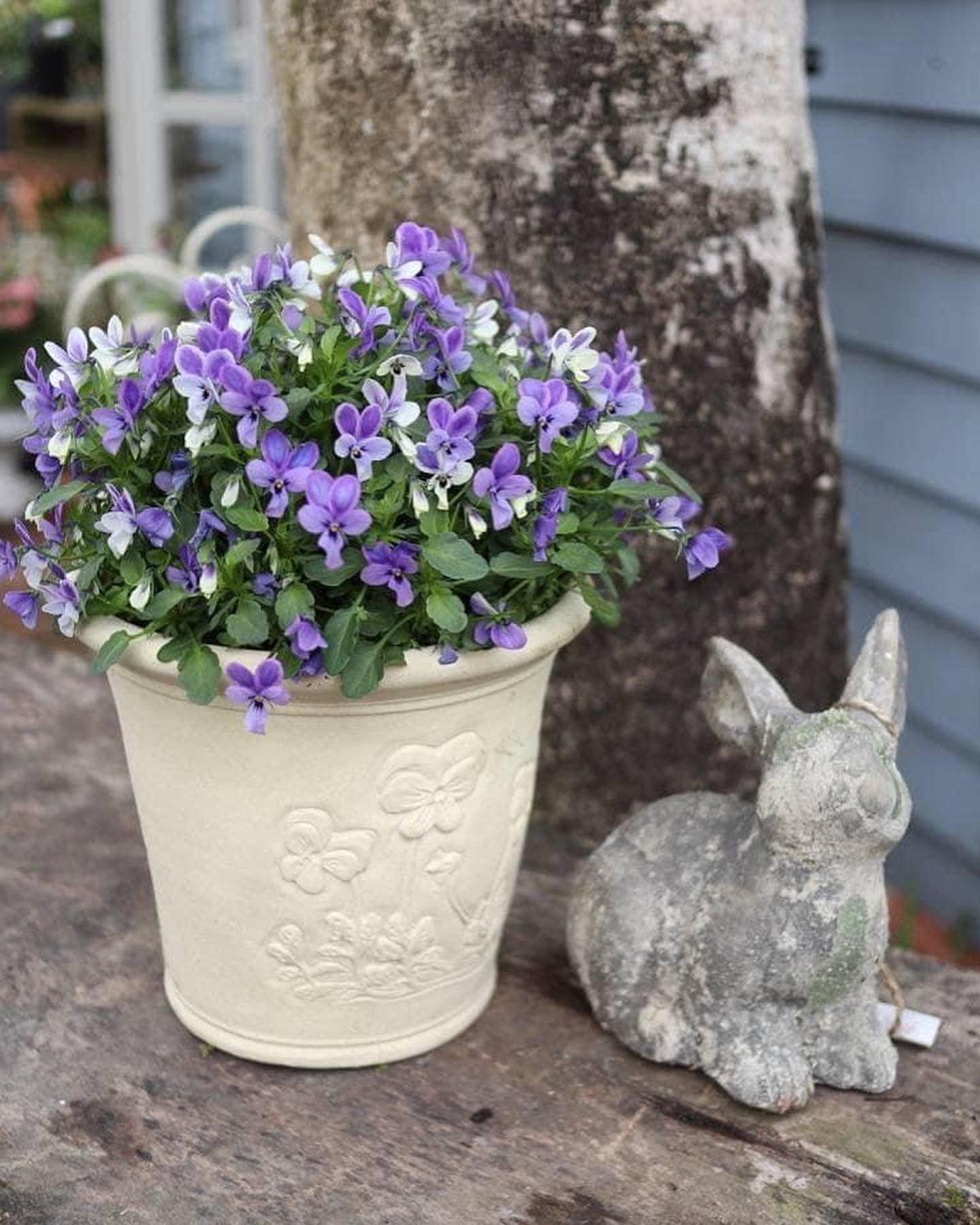 ネット販売 - Andersen - 宮崎の花屋 アナーセン